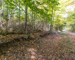 Property for Sale on 0 Lynx Lake Road, Huntsville (Brunel)
