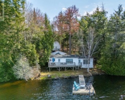 Cottage for Sale on Big Hawk Lake