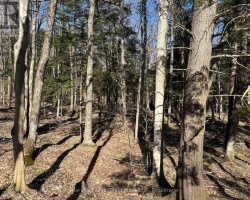 Property for Sale on CON 1 PT LOT 12 BARLOCHAN ROAD, 