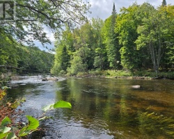 Cottage for Sale on Burnt Lake