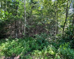 Property for Sale on LOT 29 WEST COURT, 
