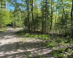 Property for Sale on 0 SHARON LAKE DRIVE, Minden Hills (Minden)