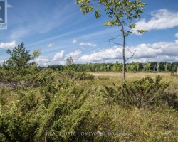 Property for Sale on LOT 250 MCGUIRE BEACH ROAD, Kawartha Lakes (Carden)