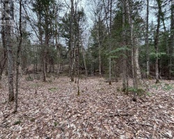 Property for Sale on Lot 1 Loch Erne Road, McDougall