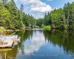 Cottage for Sale on Gull River