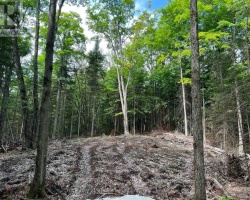Property for Sale on LOT 26 WEST COURT, 