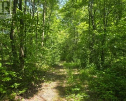 Property for Sale on 1134 WALKERS LINE ROAD, 