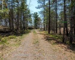 Cottage for Sale on Sparrow Lake
