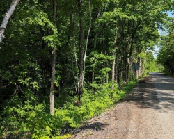 Property for Sale on LOT 1 TALLY-HO WINTER PARK ROAD, 