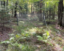 Property for Sale on 0 NICHOLS ROAD, 