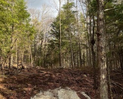 Property for Sale on LOT 27 BUSHWOLF LAKE ROAD, 