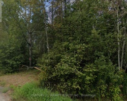 Property for Sale on 0 Mcknight Drive, Minden Hills (Lutterworth)