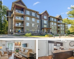 Property for Sale on 203 - 391B MANITOBA STREET, 