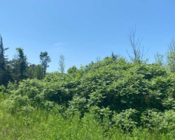 Property for Sale on 155 HILLSIDE DRIVE, 