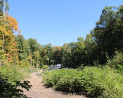 Property for Sale on 1295 BINSCARTH TRAIL, 