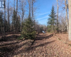 Property for Sale on 11146 ON-118 HIGHWAY, 