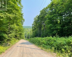 Property for Sale on 0 COLEMAN LAKE ROAD, 