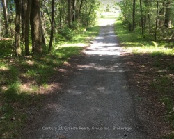 Cottage for Sale on Balsam Lake
