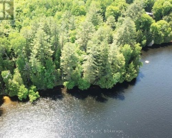 Cottage for Sale on Fairy Lake