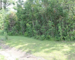 Property for Sale on 9561 11 HIGHWAY N, 