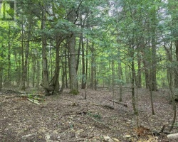 Property for Sale on 0 25Th Line Road, Algonquin Highlands (Stanhope)