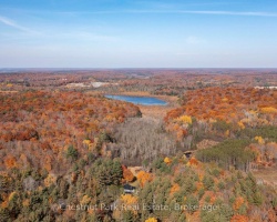Property for Sale on 1236 BUTTER & EGG ROAD, 