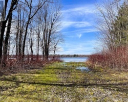Cottage for Sale on Young Lake