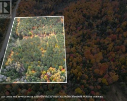 Property for Sale on 0 COUNTY ROAD 121, 