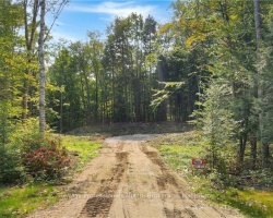 Property for Sale on Lot 15 N/A, Algonquin Highlands (Stanhope)