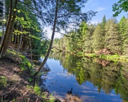 Cottage for Sale on Gull Lake