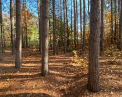 Property for Sale on 0 MAEBAR ROAD, 