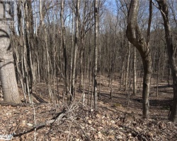 Property for Sale on 0 SOUTH MUSKOKA DRIVE, Bracebridge (Macaulay)