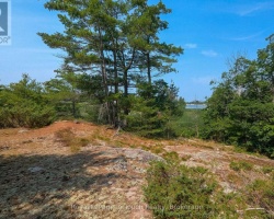 Cottage for Sale on Georgian Bay