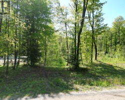 Property for Sale on 0 TRAPPER'S TRAIL ROAD, 