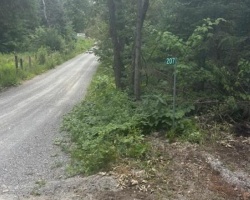Property for Sale on 207 DUTCH LINE, 