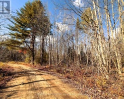Property for Sale on 0 WEISMULLER LANE, Bracebridge (Draper)
