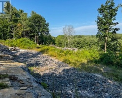 Property for Sale on 1681 MUSKOKA BEACH ROAD, 
