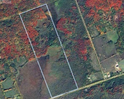 Property for Sale on 0 LAXTON BOUNDARY LINE, 