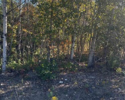 Property for Sale on 23 FREELAND DRIVE, 