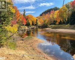 Cottage for Sale on Big East Lake