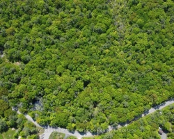 Property for Sale on 162 BONNEVILLE ROAD, Georgian Bay (Baxter)
