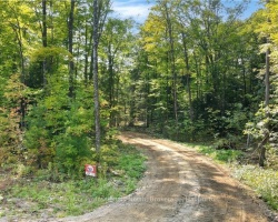 Property for Sale on Lot 11 N/A, Algonquin Highlands (Stanhope)