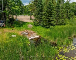 Property for Sale on 0 PEARCE ROAD, 