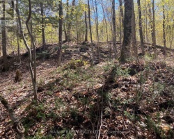Property for Sale on 000 BLANCHARDS ROAD, Kawartha Lakes (Bexley)