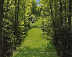 Property for Sale on Lot 165 Glen Lake Court, Dysart et al (Guilford)